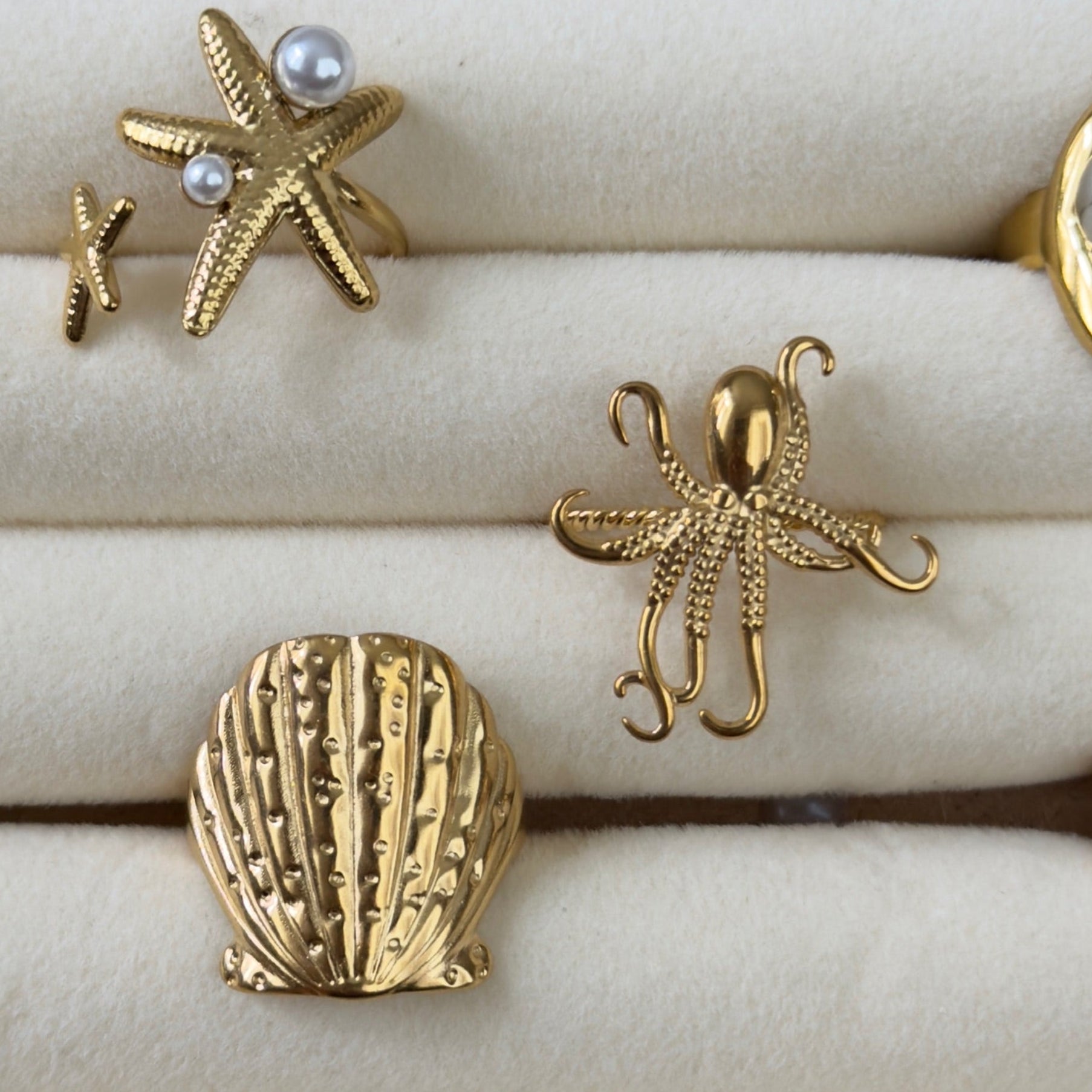 OCEAN rings